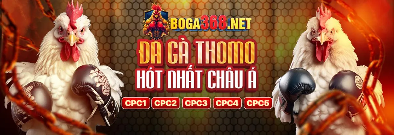 Quản lý tài khoản người chơi tại 2q bet
