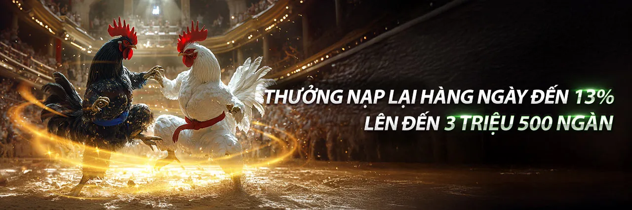 Đá gà trực tuyến 2q bet - Trải nghiệm cá cược đỉnh cao