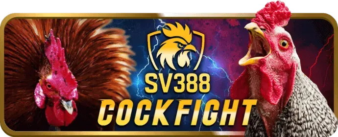 Số điện thoại hỗ trợ 2q bet